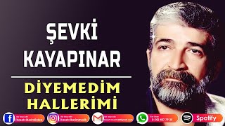 Şevki Kayapınar  DİYEMEDİM HALLERİMİ [upl. by Bancroft999]