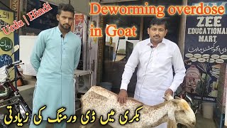 Deworming overdose in Goat  Dr Mohsin [upl. by Klimesh966]