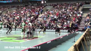 SMFinal i Innebandy 2013 FalunDalen 52 [upl. by Eelir]