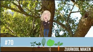 70Mijn moestuin zuurkool maken [upl. by Tomas928]