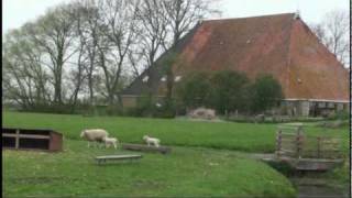 Friesland Holland Farm Visit [upl. by Idel253]