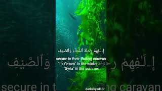 Surah Quraish darkskyeditor7 allah mtm quraish peace holyquran edit beautiful viral [upl. by Rieger990]