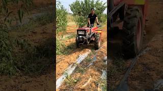 Orchard fertilizer spreader Hand tractor with orchard fertilizer spreader part 410 [upl. by Burta]