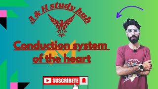 Conduction system of heart  Action potential of heart  cardiovascular system part 03 [upl. by Haramat]