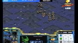 WCG Korea 2010 NFStarCraft Ro16 Bisu vs Baby 1set 스타 16강 김택용 vs 전태양 1경기 [upl. by Rehttam]