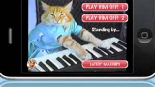 Keyboard Cat iPhone App [upl. by Edlun]