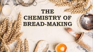 The Chemistry of Breadmaking [upl. by Myk150]