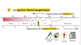 Le spectre électromagnétique [upl. by Pessa]