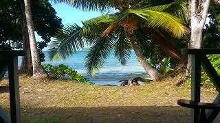 Baie St Anne Praslin Island Seychelles Morning Sounds [upl. by Masera]