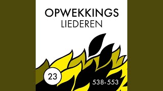 Alles is mogelijk Almachtig God die mij bevrijdt 541 [upl. by Mylander]