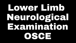 Lower Limb Neurological Examination OSCE عربي [upl. by Aihcsrop322]