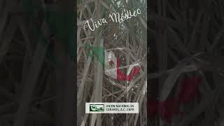 Viva México felices fiestas [upl. by Devinne]