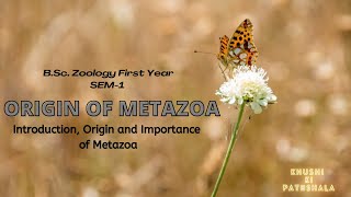 Origin of Metazoan  BSc Zoology Sem 1  Chapter 4  Full Chapter Explained [upl. by Scott]