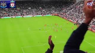 Newcastle vs Liverpool 33  All Goals and Highlights  2024 [upl. by Arahsak]