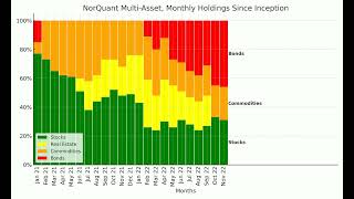 NorQuant MultiAsset monthly holdings [upl. by Ybsorc]