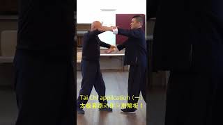 The Power of Taoist Taijiquans No 1 Movement with Our StepbyStep Application Tutorial 道家太极动作解析1 [upl. by Eneg]