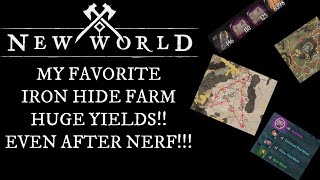 New World Post Nerf Iron Hide Farm Best Iron Hide Farms Make More Coin Per Hour [upl. by Koressa367]