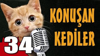 Konuşan Kediler 34  En Komik Kedi Videoları [upl. by Erasaec118]