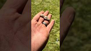 Finding What People Lost at this 1810 House Part 3 metaldetecting history fyp explore [upl. by Sabir134]