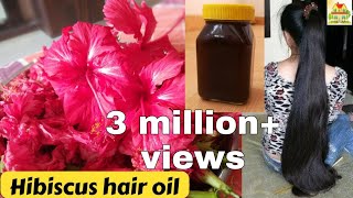 MANDARA TAILAM  DIY HIBISCUS HAIR OIL  మంధార తైలం MANA ILLU [upl. by Lewan]