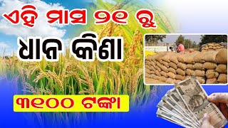 Get Ready For Kharif Season Paddy Procurement Starts On Nov 21 At Odisha Dhana Mandi [upl. by Assirrak]