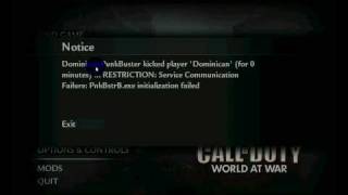 Call of duty 5 punkbuster problem [upl. by Ainos]