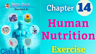 Human Nutrition biology class 11 chapter 14 exercise solutions [upl. by Georg]