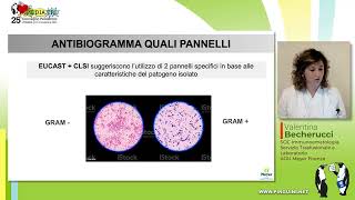 Un antibiogramma di una coltura urine [upl. by Udell790]