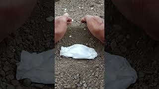 A funeral procession frog🐸🥀frog wildlife shorts viralvideo [upl. by Hartzell]