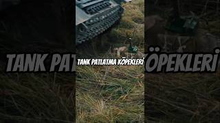 Sovyetlerin Tank Patlatma Köpekleri shorts viralshorts [upl. by Norehc]