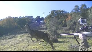 MONTERIAS EN TOLEDO 💥🐗🦌Jabalíes y Ciervas【INCREÍBLE】 [upl. by Ado646]