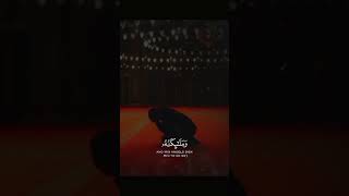 Beautiful recitation sheikh Badr AlTurki قرآن quranrecitation quran recitationofquran اكسبلور [upl. by Lothario]