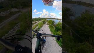 Florida mountain bike trails 😅 mtb florida [upl. by Naginnarb]