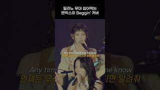 엔믹스 밀라노 무대 씹어 먹는 Beggin 커버 무대 [upl. by Akirdnas426]