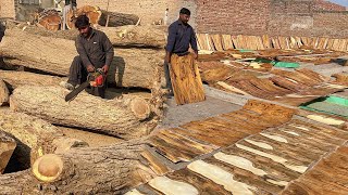 Inside Factory Process Of Making Wooden Power Looms Picker Sticks  Mass Production Factory Process [upl. by Arette]