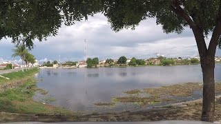 ANGICOSRN  O NOSSO NORDESTE TA VERDINHO DE TANTA CHUVA [upl. by Eram]