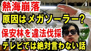 【熱海土石流⑤】隣のメガソーラー、違法伐採の疑い！別の場所も崩落の危険性あり。 [upl. by Franek324]