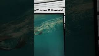 How to download windows 11 iso file trending youtube [upl. by Redienhcs]