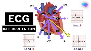 How to Read an ECG  ECG Interpretation  EKG  OSCE Guide  UKMLA  CPSA [upl. by Guthrie]