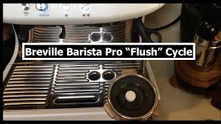 How to Clean  Flush  Breville Barista Pro  Cleaning Cycle [upl. by Narcis]