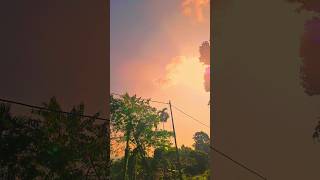 I Filmed Every Sunset For A Year [upl. by Olpe]