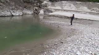 goonch catfish catch at siang river [upl. by Nebra]