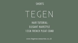 Quick How To Elegant Hairstyle with our 12CM French Pleat Comb  Tegen Accessories shorts hair [upl. by Abby]