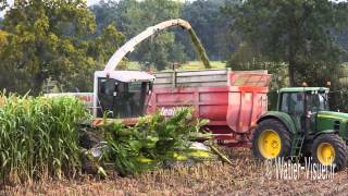 Ensilage de Sorgho fourrager avec une Ensileuse Claas Jaguar 890 [upl. by Attekal]