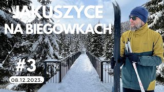 Na biegówkach w Jakuszycach Dzień trzeci [upl. by Abibah]