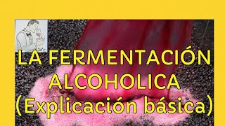 132 LA FERMENTACIÓN ALCOHOLICAExplicación básica paso a paso [upl. by Heyes]