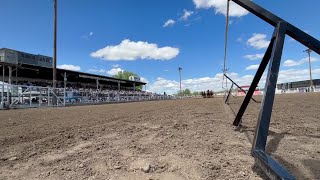 Horse race during 2024 Miles City Bucking Horse sale [upl. by Nuhs950]