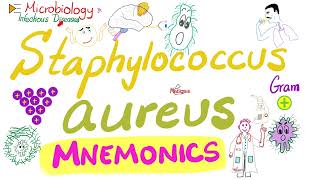 Staphylococcus aureus Mnemonics  Microbiology 🧫 amp Infectious Diseases 🦠 [upl. by Aidyn676]