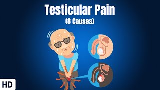 8 Causes Of Testicular Pain [upl. by Kiki]