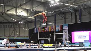 FITChallenge 2019  Nina Derwael Uneven Bars Finals [upl. by Wsan874]